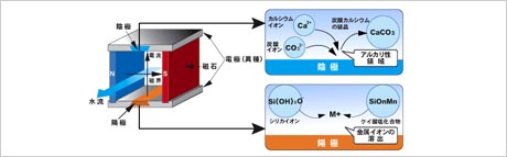 スケールキラー